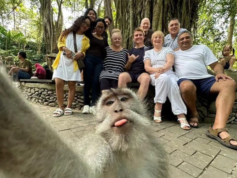 WhatsApp-Image-2024-01-09-at-3.34.53-PM.jpeg WhatsApp-Image-2024-01-09-at-3.34.53-PM.jpeg